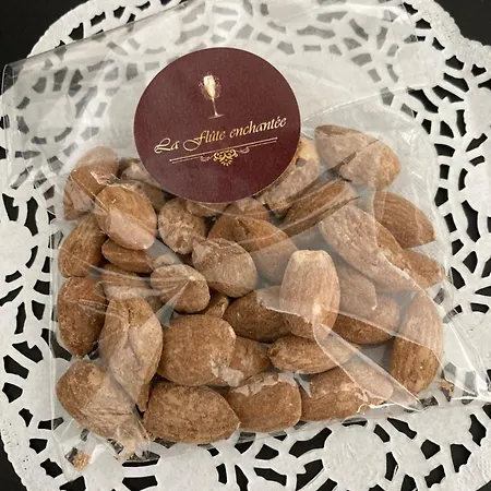 La Flute Enchantee 4* Troyes