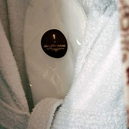 Aparthotel La Flute Enchantee Troyes